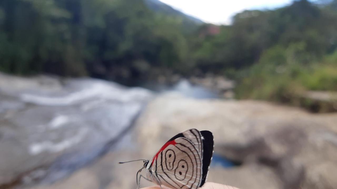 Pousada Gaia Visconde De Maua Esterno foto